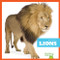 Lions - 9781645277255 by Marie Brandle, 9781645277255