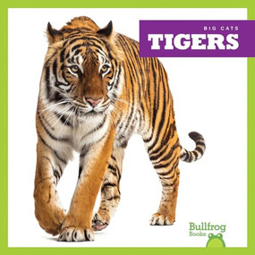 Tigers - 9781645277316 by Marie Brandle, 9781645277316