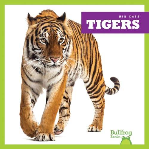 Tigers - 9781645277316 by Marie Brandle, 9781645277316