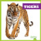 Tigers - 9781645277316 by Marie Brandle, 9781645277316