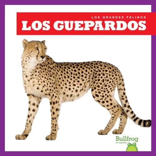 Los guepardos (Cheetahs) (Spanish Edition) by Marie Brandle, 9781645278641