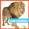 Los leones (Lions) (Spanish Edition) by Marie Brandle, 9781645278689