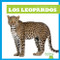 Los leopardos (Leopards) (Spanish Edition) by Marie Brandle, 9781645278702