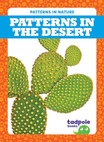 Patterns in the Desert - 9781645277569 by Genevieve Nilsen, Dana Flemming, 9781645277569