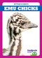 Emu Chicks by Genevieve Nilsen, 9781645279433