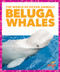Beluga Whales - 9781636900483 by Mari Schuh, 9781636900483