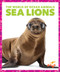 Sea Lions - 9781636900698 by Mari Schuh, 9781636900698