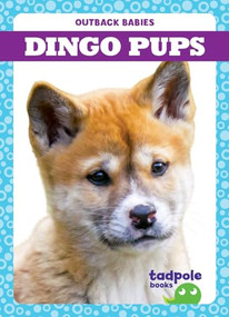 Dingo Pups - 9781645279419 by Genevieve Nilsen, 9781645279419