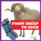 From Sheep to Sock - 9781645279839 by Avery Toolen, 9781645279839
