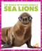 Sea Lions - 9781636900704 by Mari Schuh, 9781636900704