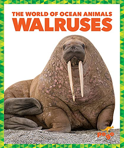 Walruses - 9781636900766 by Mari Schuh, 9781636900766