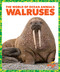 Walruses - 9781636900766 by Mari Schuh, 9781636900766