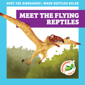 Meet the Flying Reptiles by Rebecca Donnelly, Alan Brown, 9781636906058