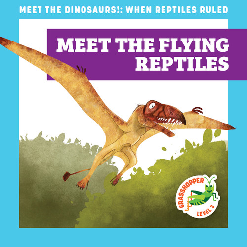 Meet the Flying Reptiles by Rebecca Donnelly, Alan Brown, 9781636906058