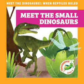 Meet the Small Dinosaurs by Rebecca Donnelly, Alan Brown, 9781636906171
