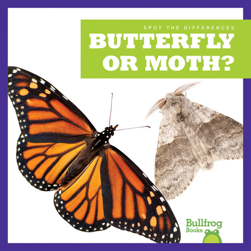 Butterfly or Moth? - 9781636903408 by Adeline J. Zimmerman, N/A, 9781636903408