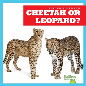 Cheetah or Leopard? - 9781636903439 by Jamie Rice, 9781636903439