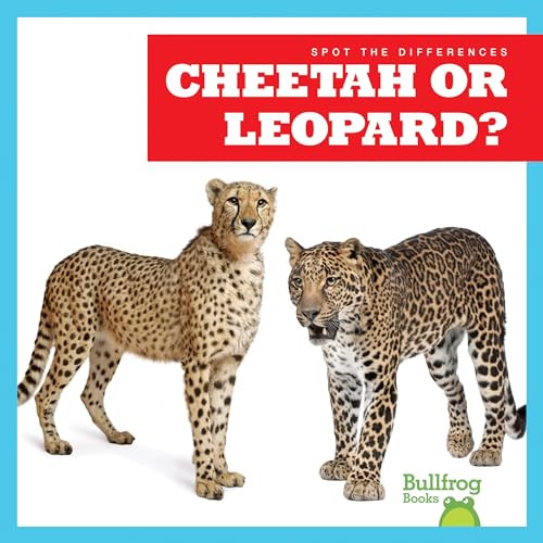 Cheetah or Leopard? - 9781636903439 by Jamie Rice, 9781636903439