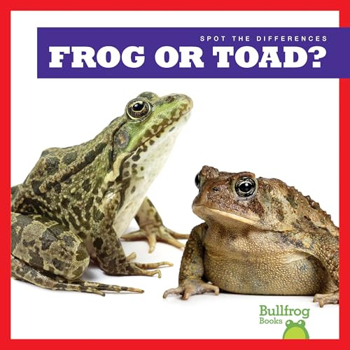 Frog or Toad? by Jamie Rice, 9781636903460
