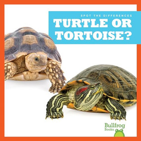 Turtle or Tortoise? - 9781636903521 by Jamie Rice, 9781636903521