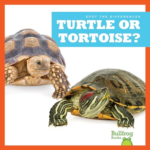 Turtle or Tortoise? - 9781636903521 by Jamie Rice, 9781636903521