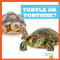Turtle or Tortoise? - 9781636903521 by Jamie Rice, 9781636903521