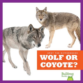 Wolf or Coyote? - 9781636903552 by Jamie Rice, 9781636903552