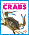 Crabs - 9781636902791 by Bizzy Harris, 9781636902791