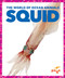 Squid by Adeline J. Zimmerman, 9781636902975
