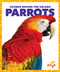 Parrots - 9781636903835 by Alicia Z. Klepeis, Dana Flemming, 9781636903835