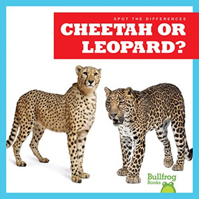 Cheetah or Leopard? - 9781636903446 by Jamie Rice, 9781636903446