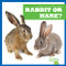Rabbit or Hare? - 9781636903507 by Jamie Rice, 9781636903507