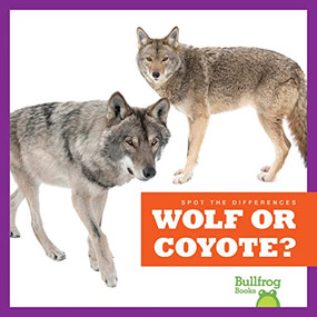 Wolf or Coyote? - 9781636903569 by Jamie Rice, 9781636903569
