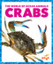 Crabs - 9781636902807 by Bizzy Harris, 9781636902807