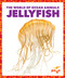 Jellyfish - 9781636902838 by Bizzy Harris, 9781636902838