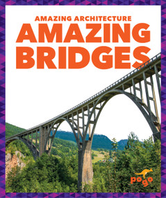 Amazing Bridges by Anita Nahta Amin, 9781636907321