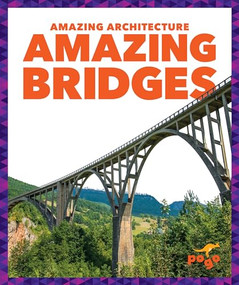 Amazing Bridges by Anita Nahta Amin, 9781636907321