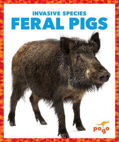 Feral Pigs by Alicia Z. Klepeis, 9781636907956