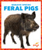 Feral Pigs by Alicia Z. Klepeis, 9781636907956