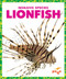 Lionfish - 9781636907987 by Alicia Z. Klepeis, 9781636907987