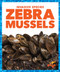 Zebra Mussels by Alicia Z. Klepeis, 9781636908045