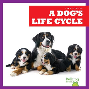 A Dog's Life Cycle by Jamie Rice, 9781636908281