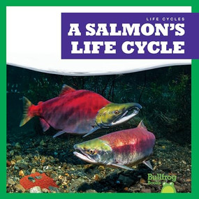 A Salmon's Life Cycle by Jamie Rice, 9781636908373