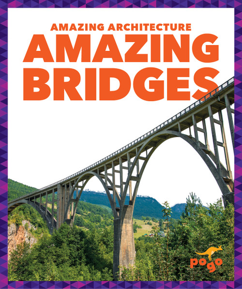 Amazing Bridges - 9781636907338 by Anita Nahta Amin, 9781636907338
