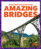 Amazing Bridges - 9781636907338 by Anita Nahta Amin, 9781636907338