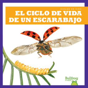 El ciclo de vida de un escarabajo (A Beetle's Life Cycle) (Spanish Edition) - 9798885240031 by Jamie Rice, 9798885240031