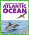 Atlantic Ocean - 9781636907727 by Avery Toolen, 9781636907727