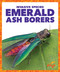 Emerald Ash Borers - 9781636907932 by Alicia Z. Klepeis, 9781636907932