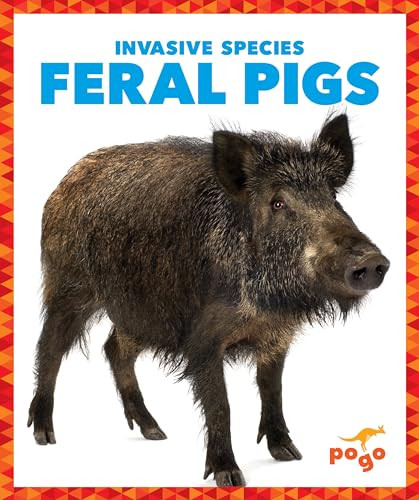 Feral Pigs - 9781636907963 by Alicia Z. Klepeis, 9781636907963