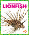 Lionfish - 9781636907994 by Alicia Z. Klepeis, 9781636907994